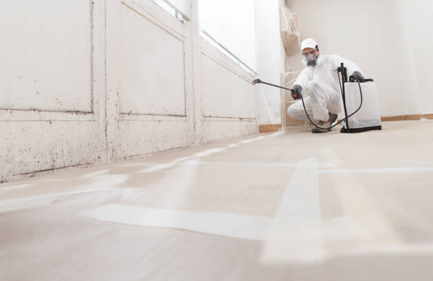 24/7 Emergency Mold Remediation experts in Bloomingdale, FL